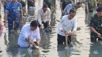presiden joko wisodo melakukan penanaman mangrove secara nasional tahun 2023 di taman wisata alam twa angke kapuk jakarta utar 3 169