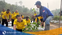berita bangka - 2026-10-30T200057.977